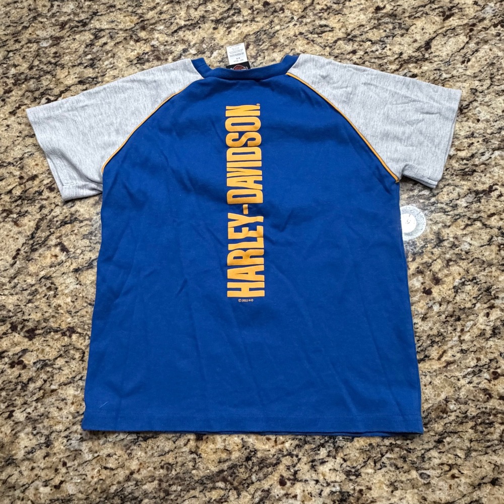 Harley-Davidson Boys‎ Blue Gray Raglan T-Shirt Graphic Logo Size 8/10 2022
